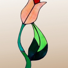 C0301.